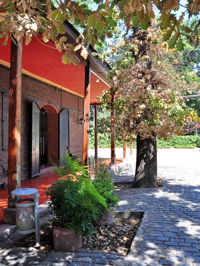 Die Viña Macul heißt die Besucher in einem liebevoll hergerichteten Eingangsbereich willkommen.