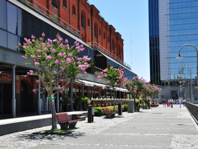 An der Hafenpromenade reihen sich schicke Restaurants und Bars aneinander und bieten Nachtschwärmern gute Unterhaltung.