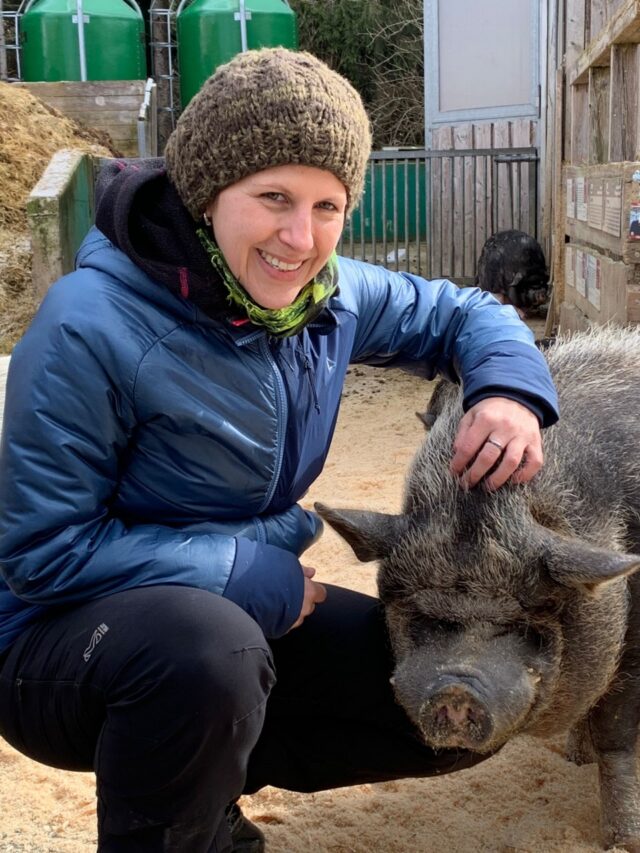 Den schweren Kopf auf meinem Oberschenkel abgelegt, genießt er sichtlich die Streicheleinheiten. Wusstest du, dass Schweine eine ganz zarte Haut unter ihren Borsten haben?