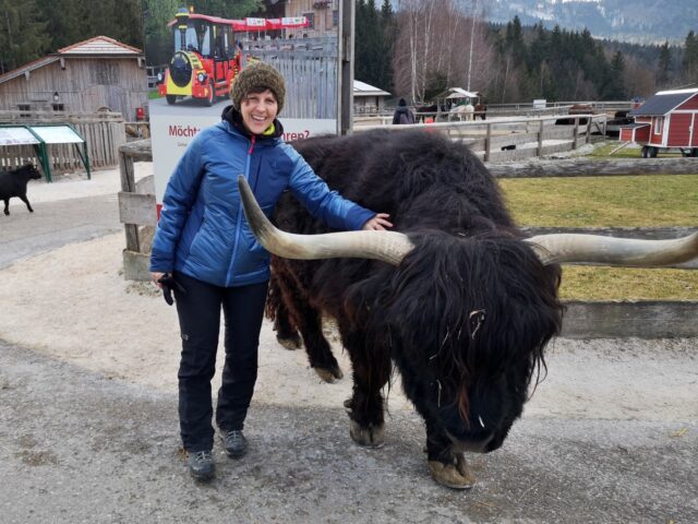 Sammy, das schottische Hochlandrind begrüßt uns am Zugangsweg.