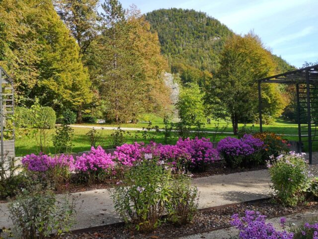 Der kleine Garten am Weg zum Marmorschlössl ist liebevoll mit Blumen und Sträuchern gestaltet. Ein Ort der Ruhe und Erholung, der zu einem kurzen Aufenthalt einlädt.