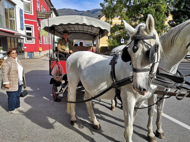 Die Stadtrundfahrt in der Kutsche bekommt von mir eine 100%ige Empfehlung! Ein wunderbares Erlebnis für kleines Geld.