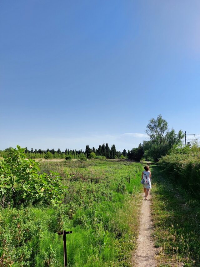 Im Hinterland spazieren wir durch naturbelassene Landschaft und einige Obstplantagen.