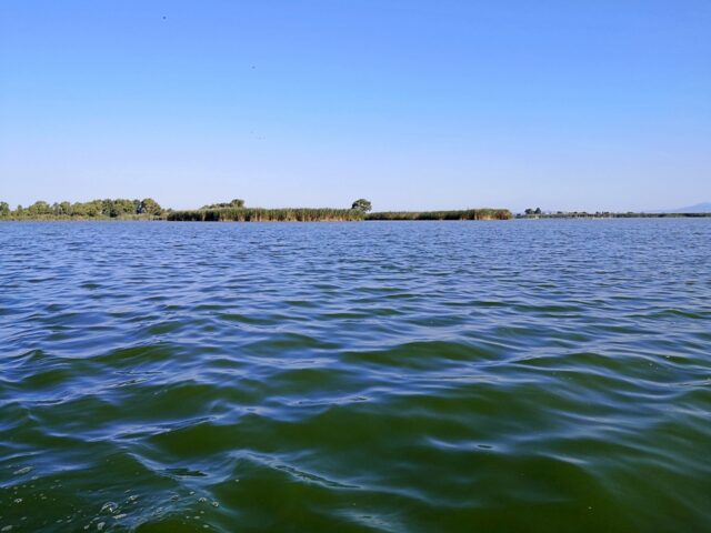 Im Laufe der Jahrzehnte als Naturschutzgebiet haben sich die Fischbestände wieder erholt und auch die Vogelpopulation ist auf über 400 verschiedene Rassen angestiegen. Dennoch ist die industrielle Verschmutzung noch deutlich an der grünen Wasserfarbe sichtbar und wird sich wohl erst in vielen hundert Jahren erholt haben.