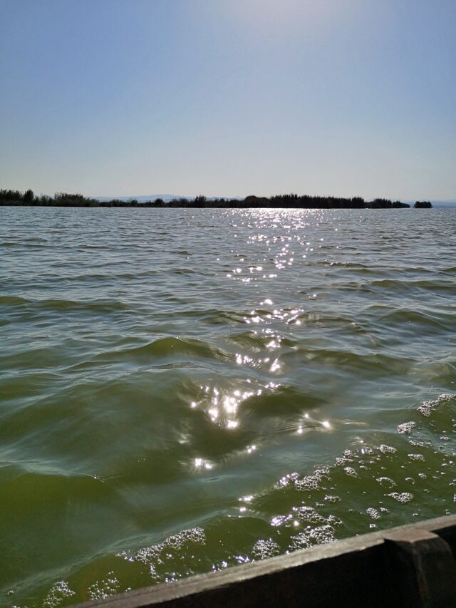 Man nennt sie auch "Albufera - la brillante". Wenn sich die Sonne abends dem Horizont nähert, offenbart sie die Bedeutung hinter dem Namen. Die Sonne schimmert wunderschön auf dem Wasser.